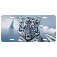Blue White Tiger