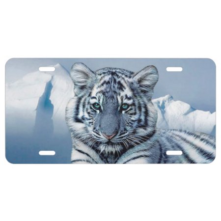 Blue White Tiger License Plate