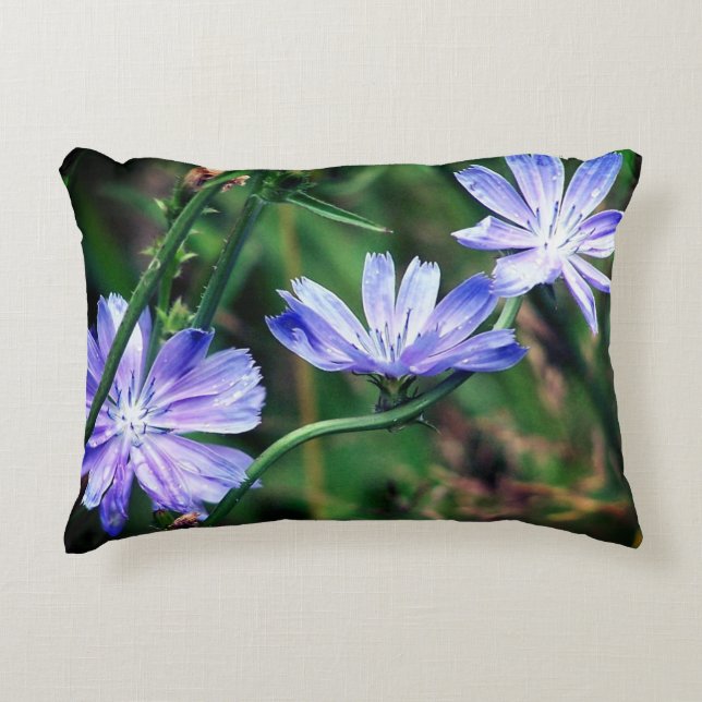 Blue Wild Chicory Flower Trio Accent Pillow (Front)