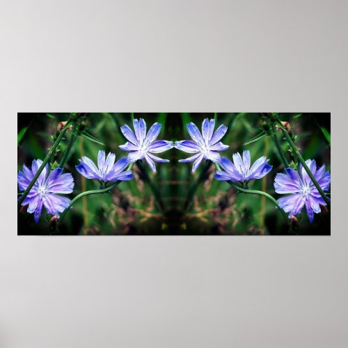 Blue Wild Chicory Flowers Mirror Abstract Poster