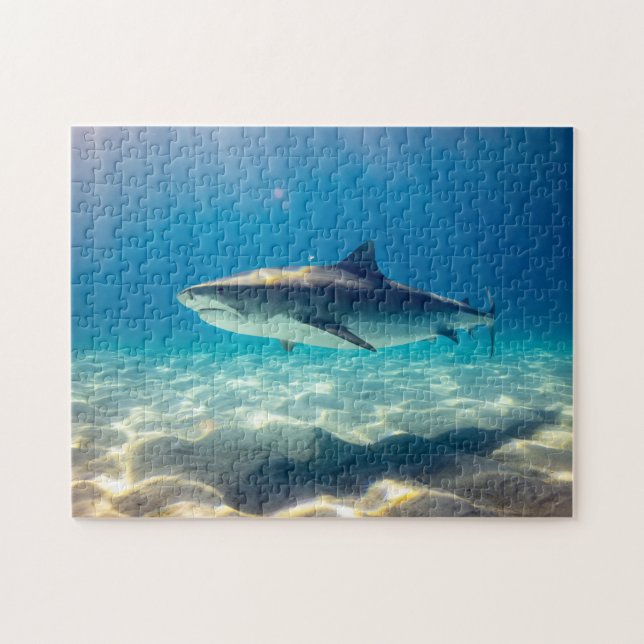 Blue Wild Shark Swim Water Sand Reflection Sea Jigsaw Puzzle (Horizontal)