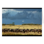 Blue Wildebeest (GNU) Masai Mara Kenya card (Front Horizontal)