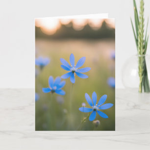 Blue Wildflowers In Field for Sympathy Card