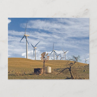Blue Wind Postcard