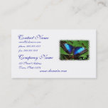 Blue Wing Butterfly Business Cards