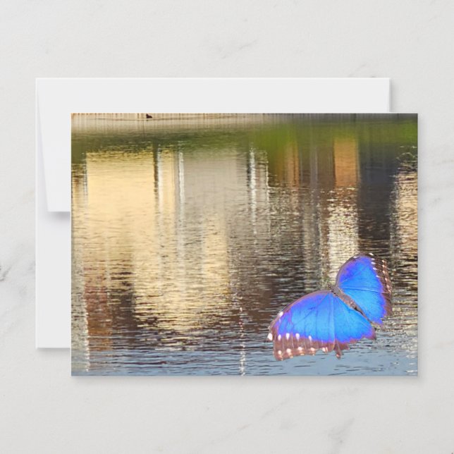 Blue Wing Reflection Magnetic Invitation (Front)