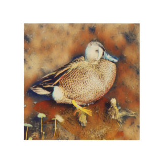 Blue Wing Teal Wood Wall Art