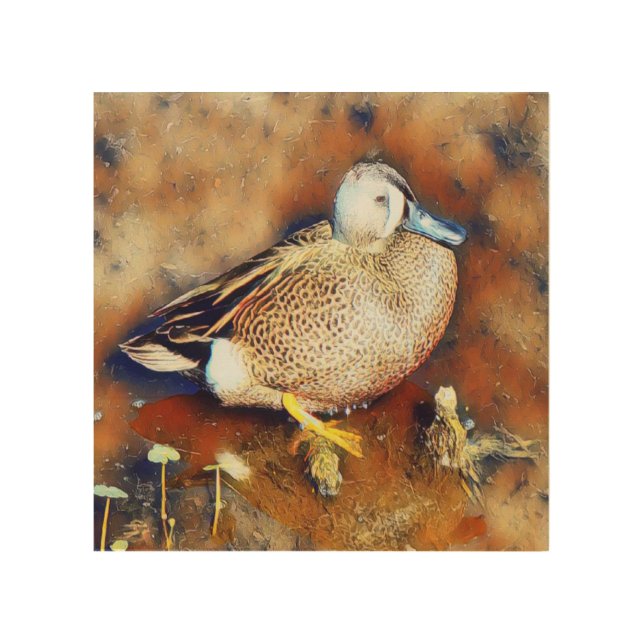 Blue Wing Teal Wood Wall Art (Front)