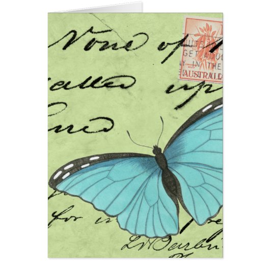 Blue-Winged Butterfly on Teal Postcard (Front)