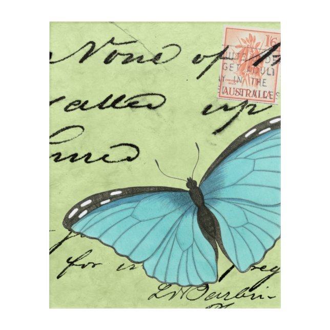 Blue-Winged Butterfly on Teal Postcard Acrylic Print (Front)