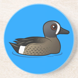 Blue-winged Teal Sandstone Drink Coaster