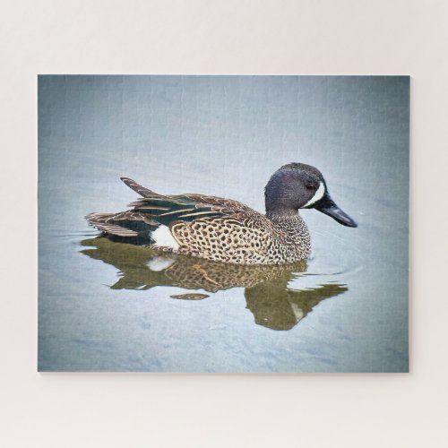 Blue_winged Teal Jigsaw Puzzle