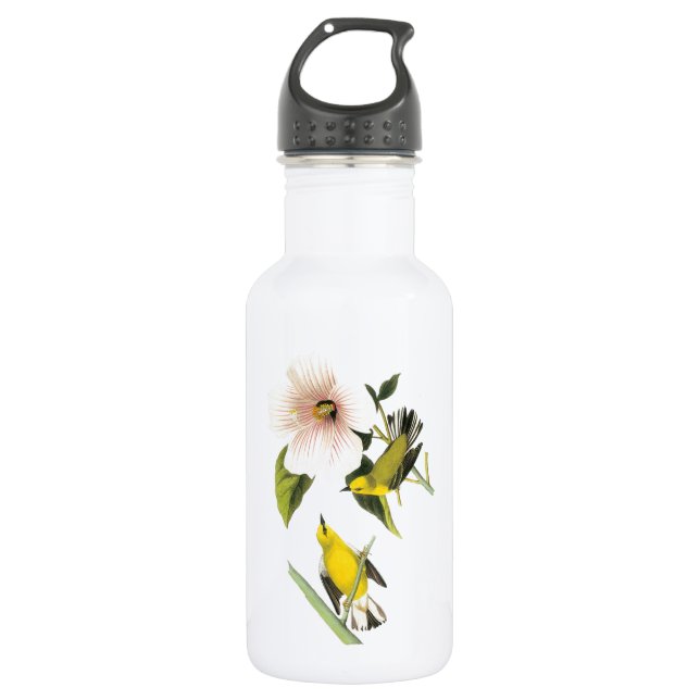 Blue-winged Warbler by Audubon Water Bottle (Front)