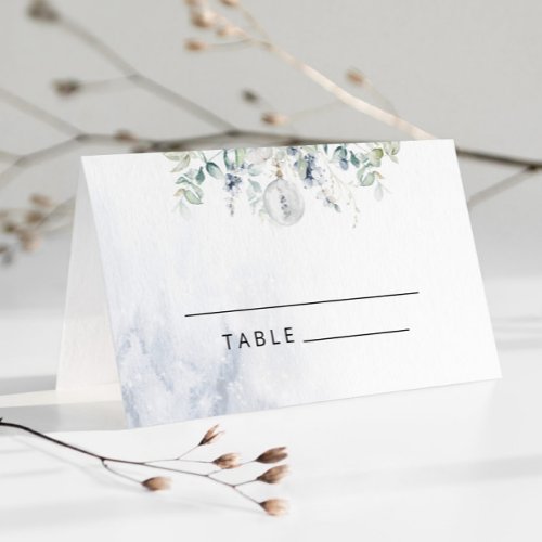 Blue winter eucalyptus wedding place cards