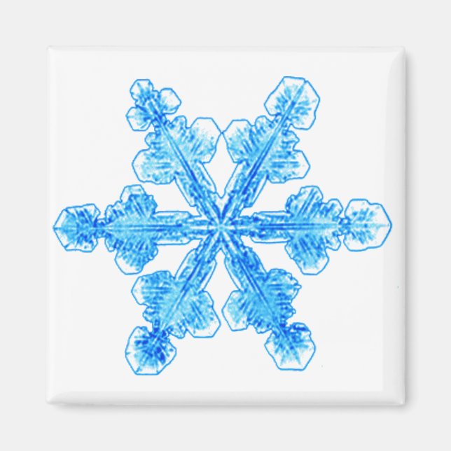 Blue Winter Snowflake Magnet (Front)