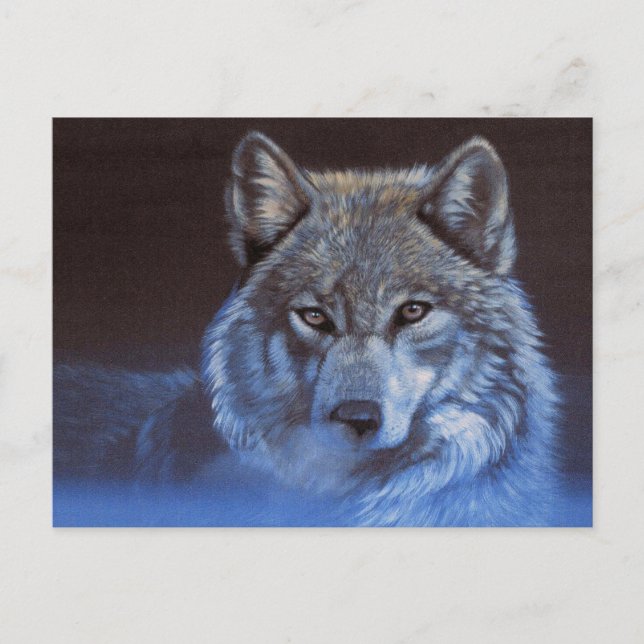 Blue Wolf Postcard (Front)