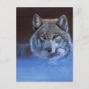 Blue Wolf Postcard