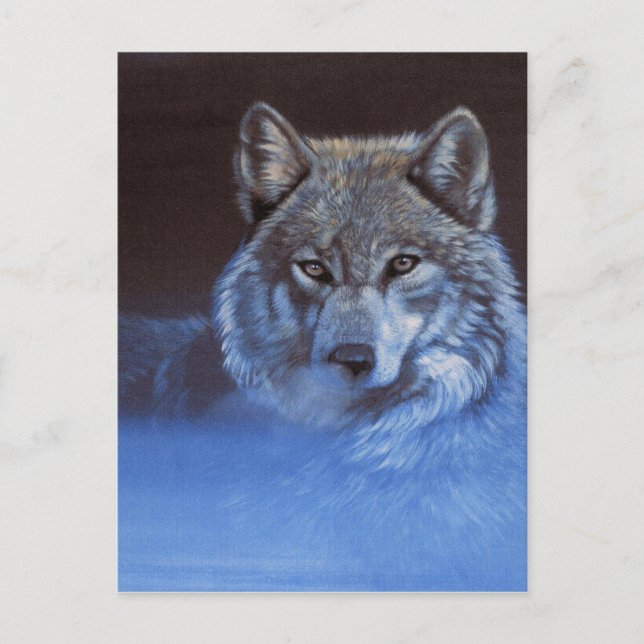 Blue Wolf Postcard (Front)