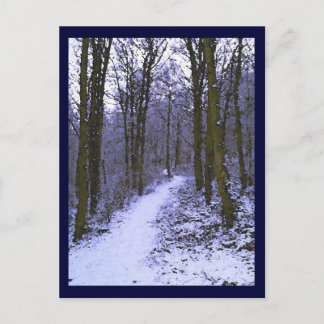 Blue Woods in Snow Postcard