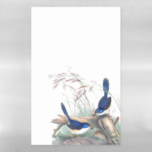 Blue Wren Birds Wildlife Dry Erase Magnetic Sheet