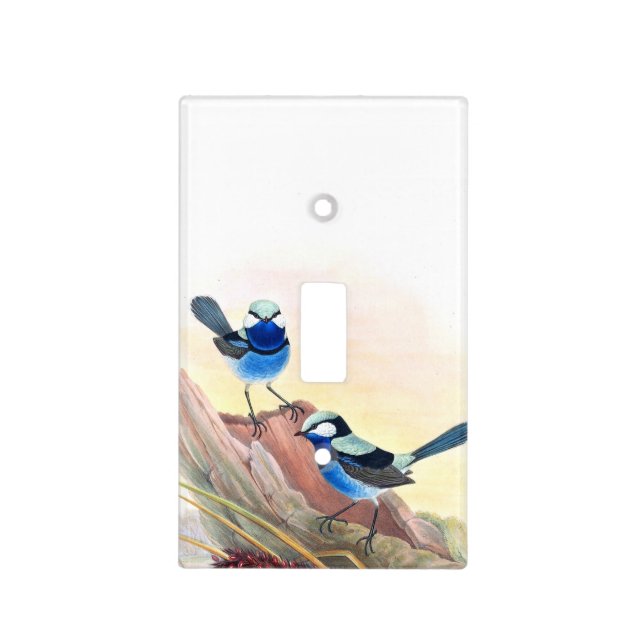 Blue Wren Birds Wildlife Flowers Floral Light Switch Cover (Front)