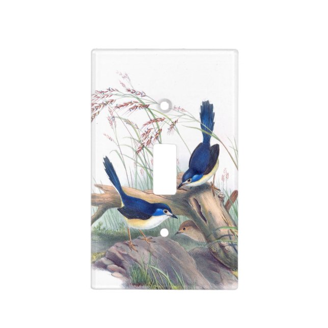 Blue Wren Birds Wildlife Flowers Floral Light Switch Cover (Front)