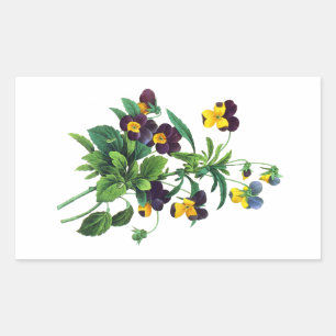 Blue Yellow and Purple Pansies By PJoseph Redoute Rectangular Sticker