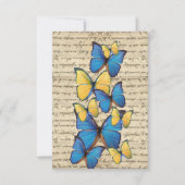 Blue & yellow butterrflies (Front)