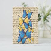 Blue & yellow butterrflies (Standing Front)