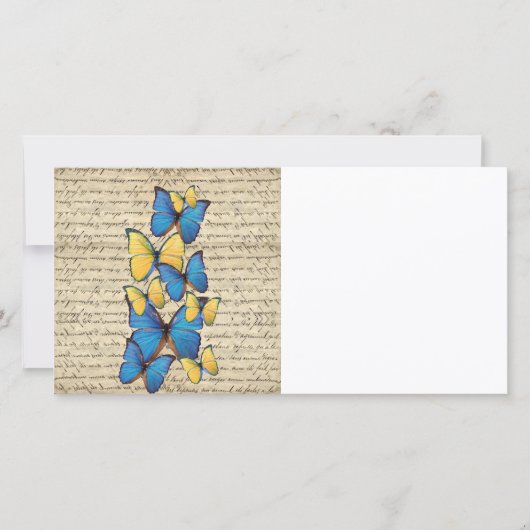 Blue & yellow butterrflies (Front)