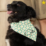Blue Yellow Daisy Cursive Custom Name Pet Bandana<br><div class="desc">You beloved dog will look so cute and fashionable in this sweet blue and yellow daisies pattern bandana with their name on it! It's really easy to personalize this yourself right on the platform. Grab a few bandanas for your pup from this shop, as there are so many to choose...</div>