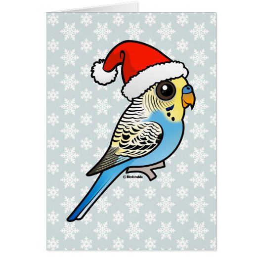 Blue & Yellow Santa Budgie Cards (Front)