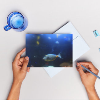 Blue -yellow tropical fish