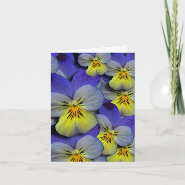 Blue & Yellow Wild Pansy Thank You Card (Front)