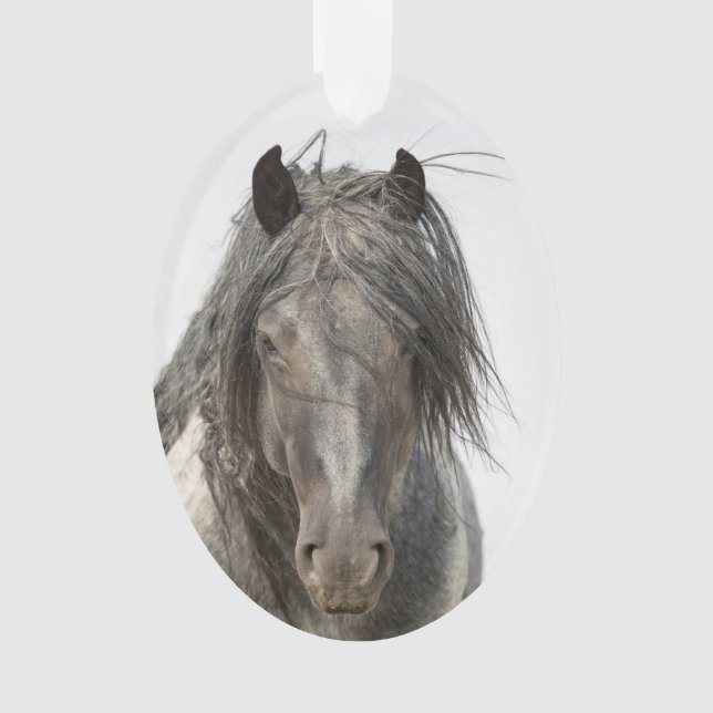 Blue Zeus Come Close Wild Hoofbeats Ornament (Front)