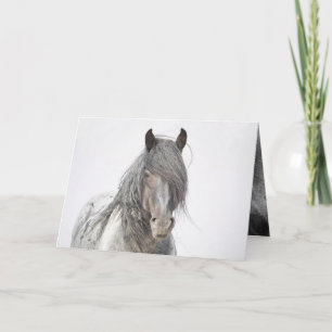 Blue Zeus Portrait Wild Horse Greeting Card