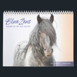 Blue Zeus Wild Horse Calendar<br><div class="desc">Wild Horse Calendar with photographs by leading advocate Carol J. Walker of the iconic wild stallion Blue Zeus. Blue Zeus lived in the Red Desert Complex of Wyoming with his family, and was rounded up in October, 2020 and was rescued in June 2021 by Clare Staples of Skydog Sanctuary and...</div>