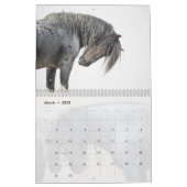 Blue Zeus Wild Horse Calendar (Mar 2025)