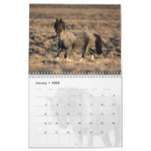 Blue Zeus Wild Horse Calendar (Jan 2025)