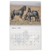 Blue Zeus Wild Horse Calendar (Feb 2025)