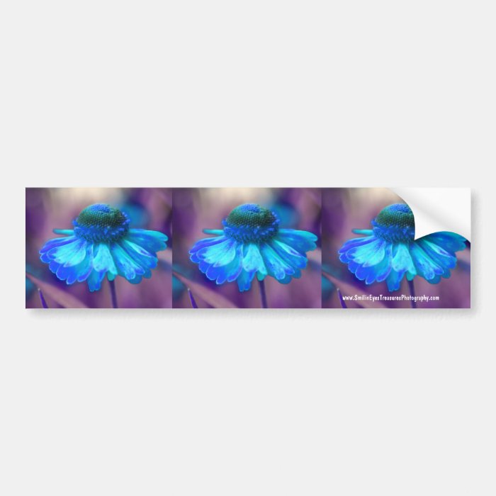 Blue Zinnia Flower Bumper Sticker Car Art