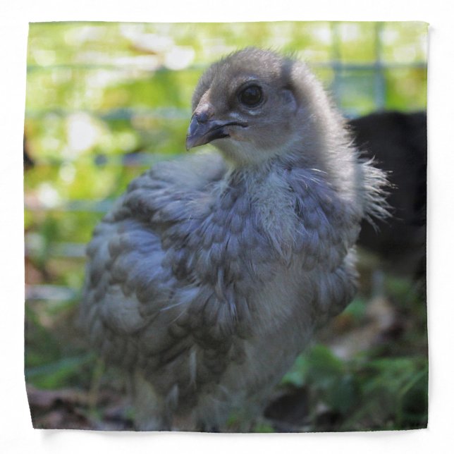 Bluebell Bandana (Front)