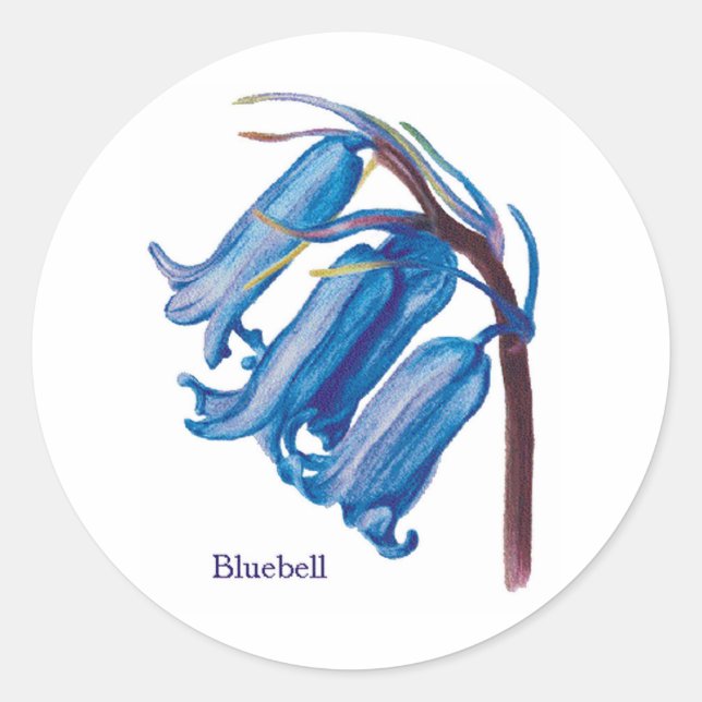 Bluebell Classic Round Sticker (Front)