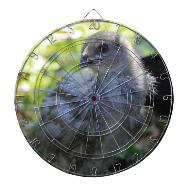 Bluebell Dart Board (Front)