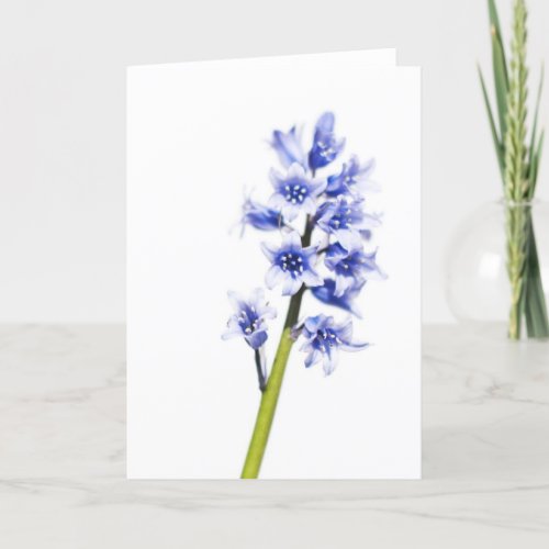 Bluebell flower Blank Greeting Card