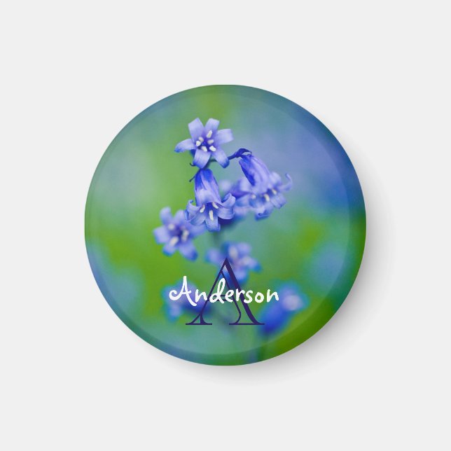 Bluebell flower Magnet (Front)