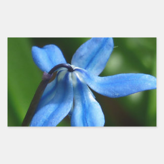 Bluebell Flower Rectangular Sticker