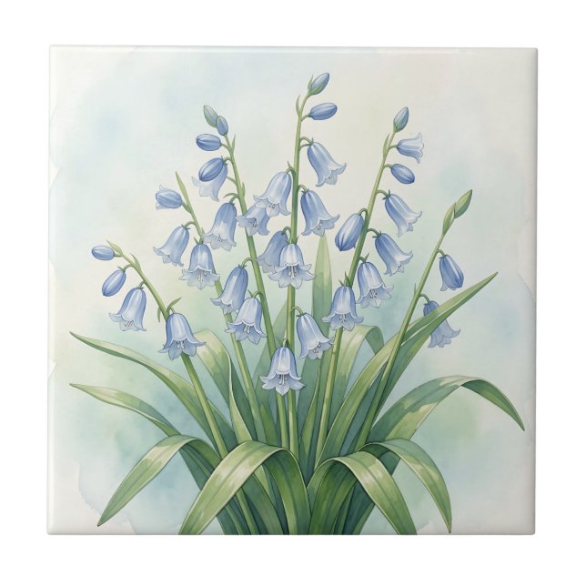 Bluebell Flowers Botanical Watercolor Ceramic Tile (Front)