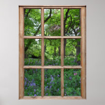 Bluebell Garden View from a Window