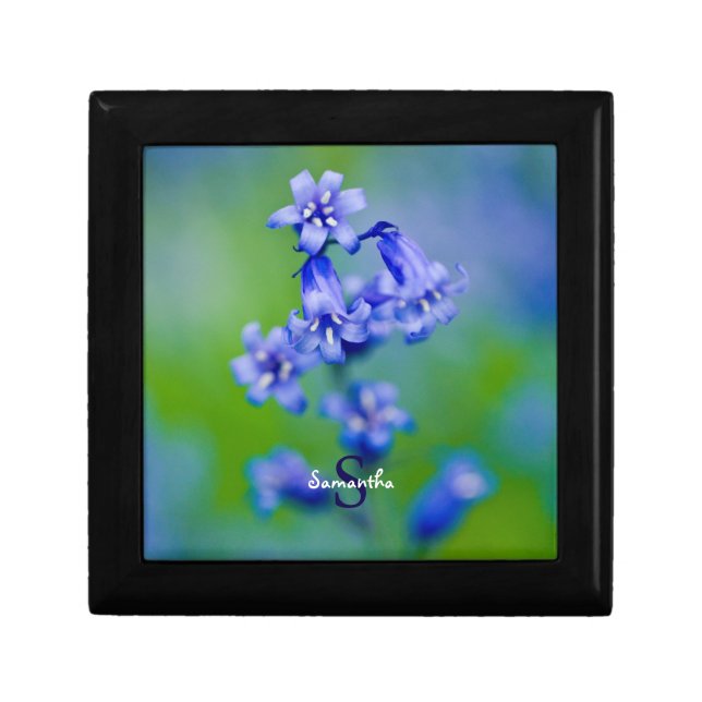 Bluebell Gift Box (Front)